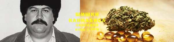 сатива Дмитров