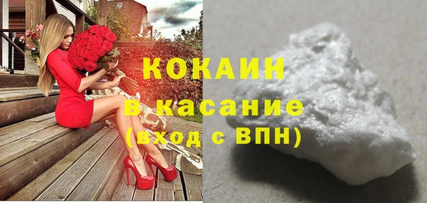 сатива Дмитров