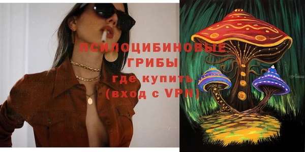 сатива Дмитров